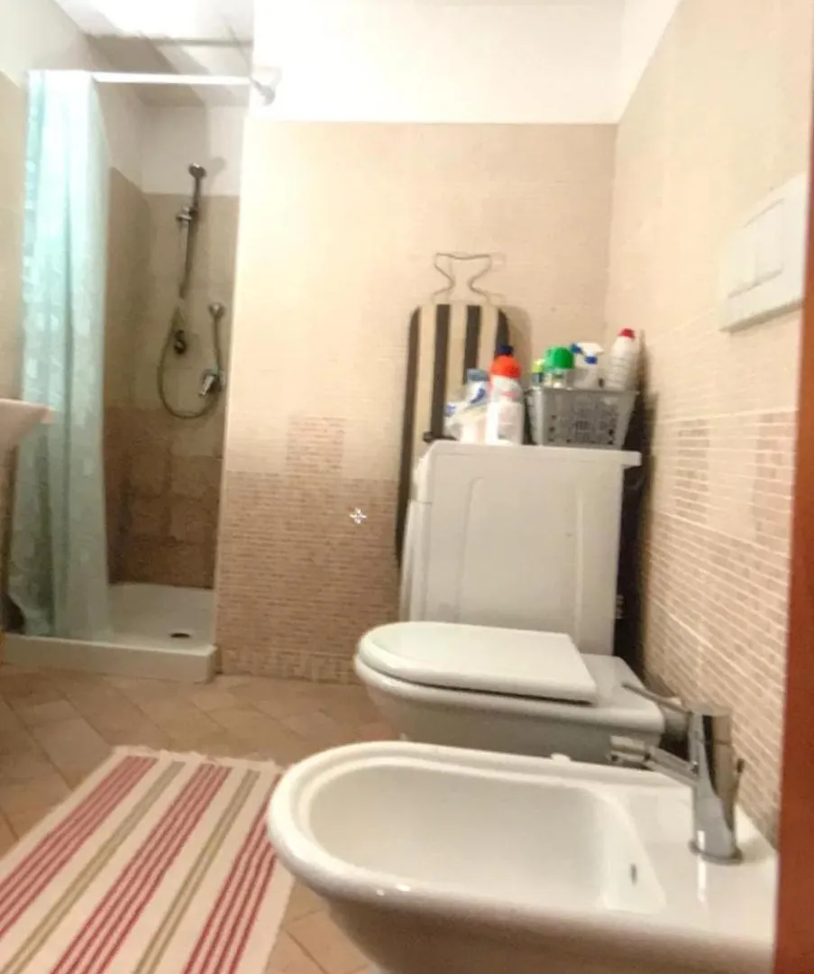 Vivi Venezia Apartment  Venice